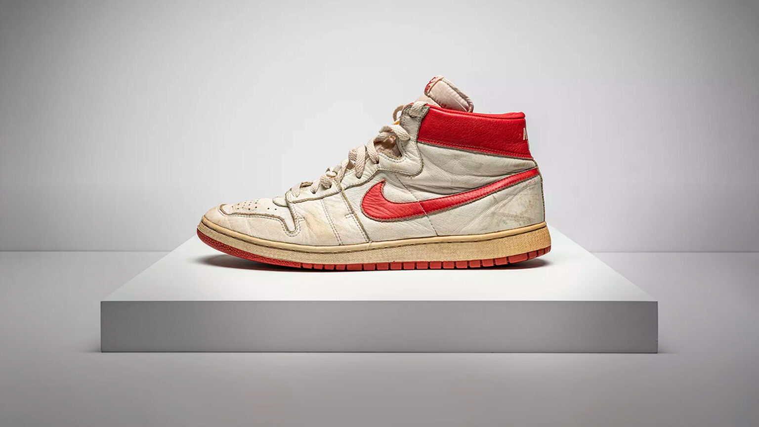 michael jordan 5 shoes