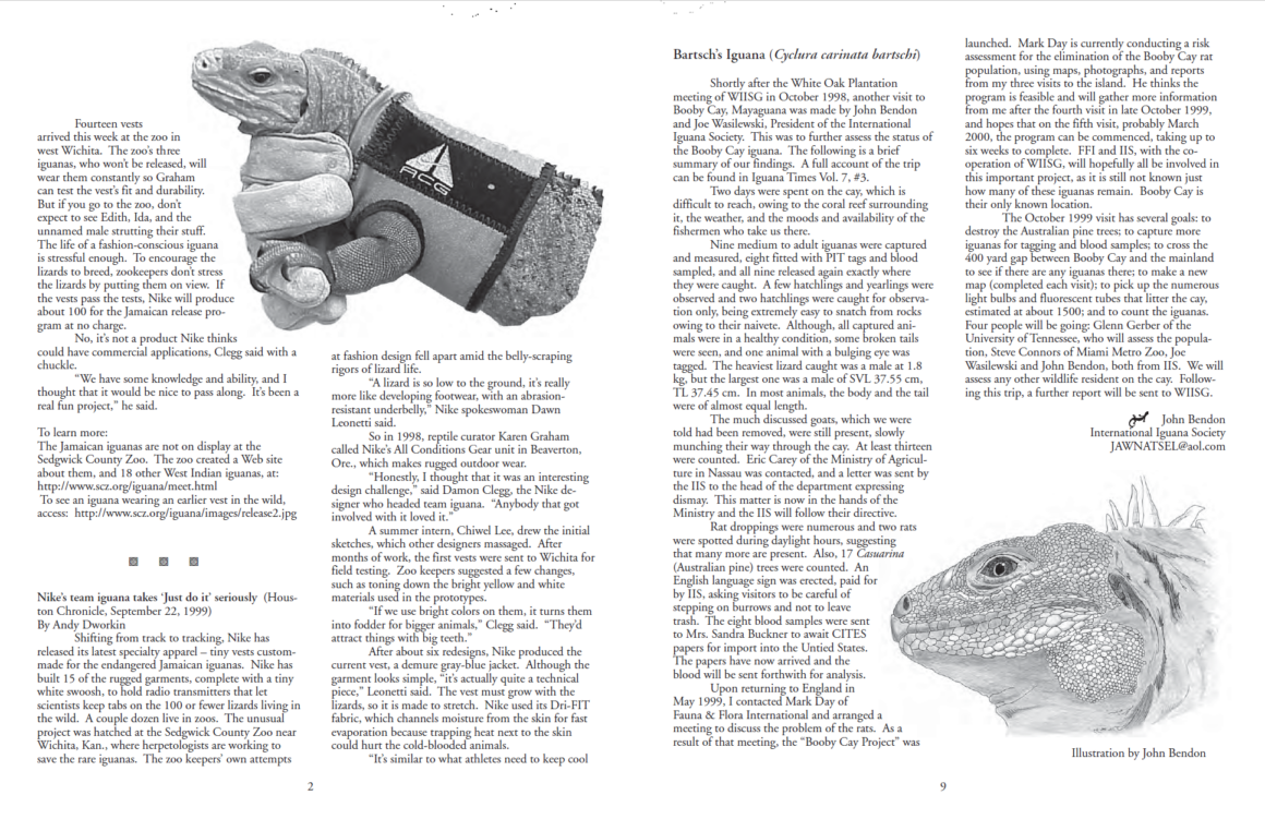 article 2 iguana nike ACG