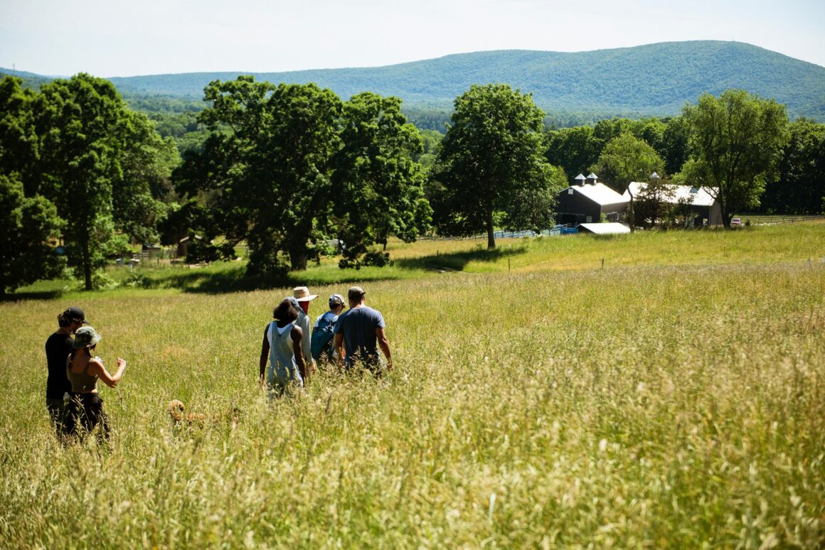 Sky_High_Farm_2