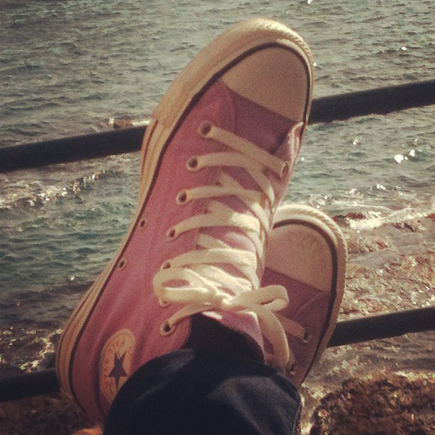 converse albamargi