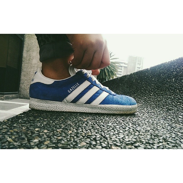 gazelle-_ricargar