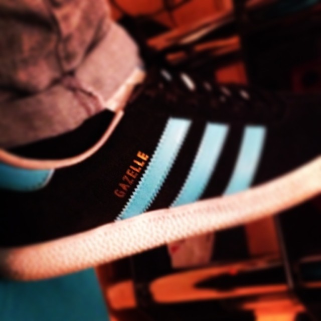 gazelle-connorgoodwin95bfc
