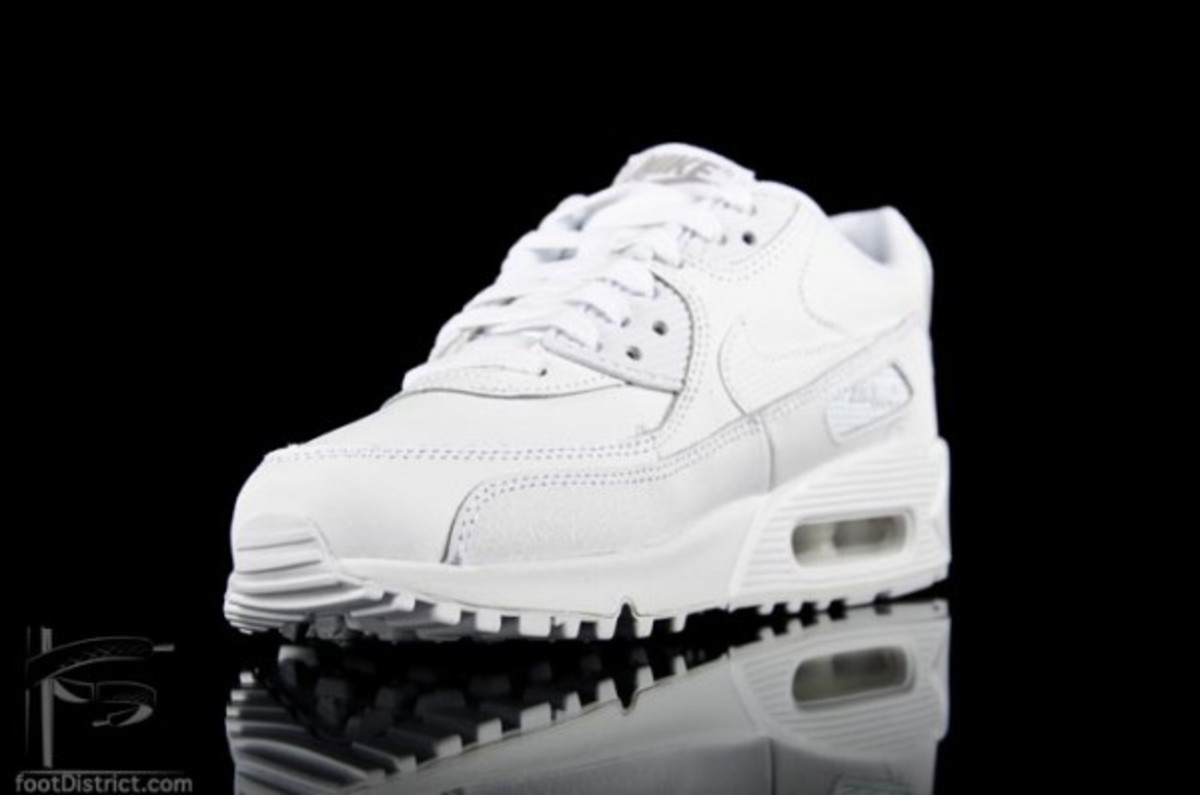 nike-air-max-90-gs-307793-167_3