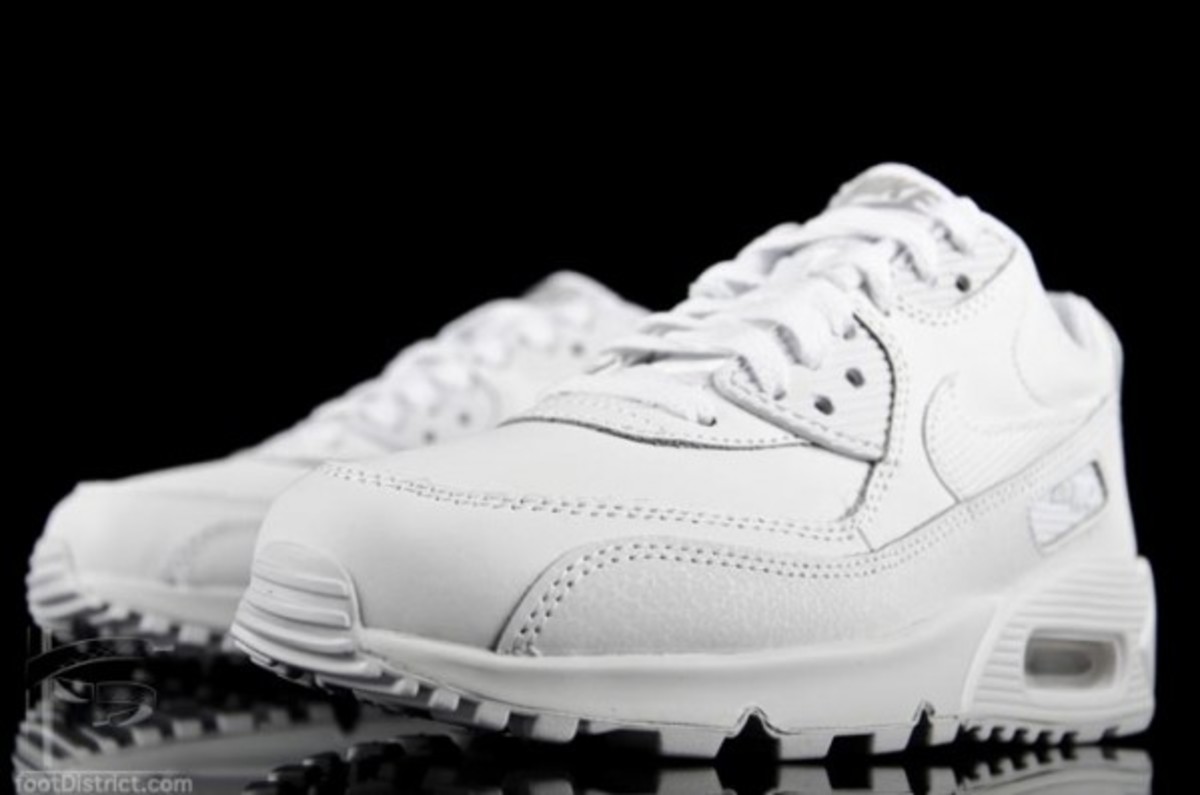 nike-air-max-90-gs-307793-167_8