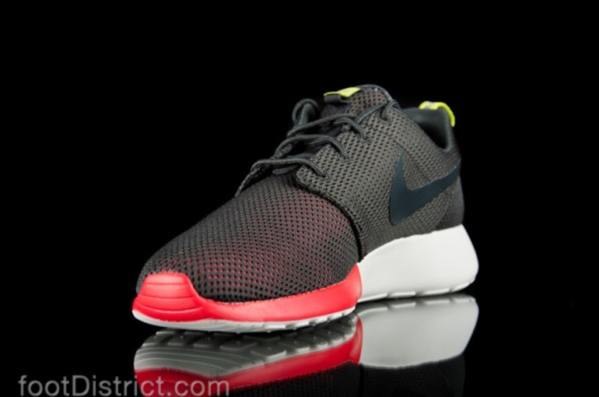 nike-roshe-run-511881-021_3