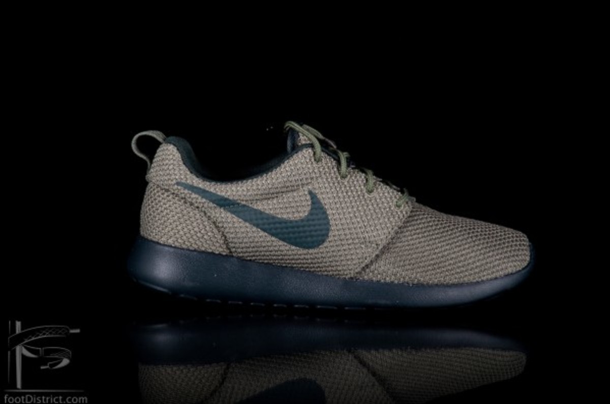 nike-roshe-run-511881-302_1_1