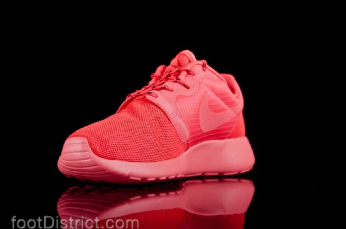 nike-roshe-run-hyp-642233-600_3