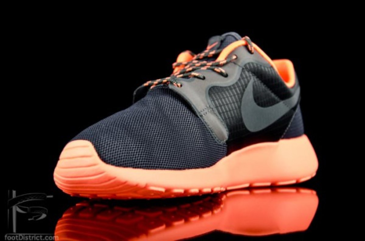 nike-roshe-run-hyp-642233-800_3