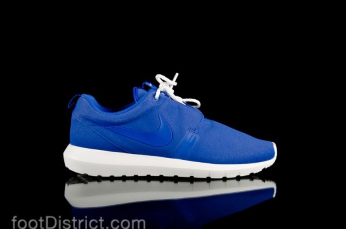 nike-roshe-run-natural-motion-631749-441_1